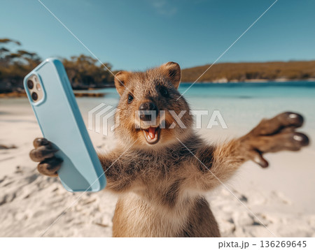 Quokka takes a selfie on a tropical beach. Bright daylight and turquoise water set a playful mood. 136269645