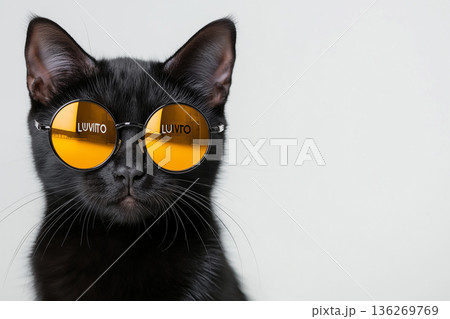 Black cat wearing stylish sunglasses looking cool and sleek with fur and whiskers. Black cat wearing stylish sunglasses looking cool and sleek with fur and whiskers. 136269769