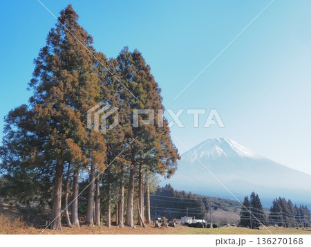 静岡県 TREE LINE CHILLAX FIELDの景観 1月 静岡県 TREE LINE CHILLAX FIELDの景観 1月 136270168