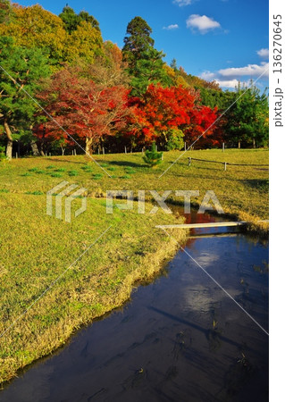 秋の京都嵯峨野　平安郷のロ漕ぎ船 136270645