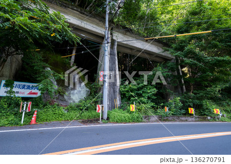 【小河内線】国道と並行する廃線跡の橋梁 136270791