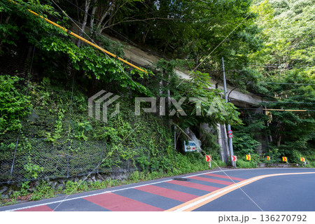 【小河内線】国道と並行する廃線跡の橋梁 136270792