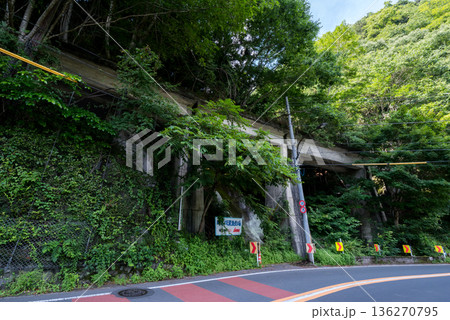 【小河内線】国道と並行する廃線跡の橋梁 136270795