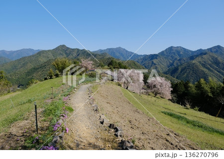 小辺路・果無集落の春 桜が彩る山里の風景 小辺路・果無集落の春 桜が彩る山里の風景 136270796