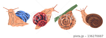 Cute snails. Cartoon slow little slugs inside spiral snail shell, garden gastropod snail flat vector illustration set. Colorful snail animals on white 136270887