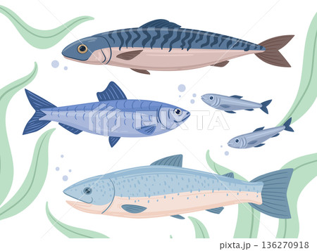 Ocean fish. Cartoon sea food tuna, trout and sardines, sea fish, delicious ocean seafood flat vector illustration set. Marine underwater fauna 136270918