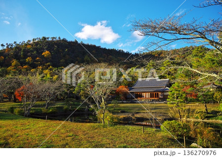秋の京都嵯峨野 平安郷の古民家(春秋庵) 秋の京都嵯峨野 平安郷の古民家(春秋庵) 136270976