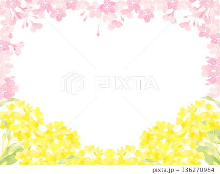 菜の花と桜の春のフレーム 136270984