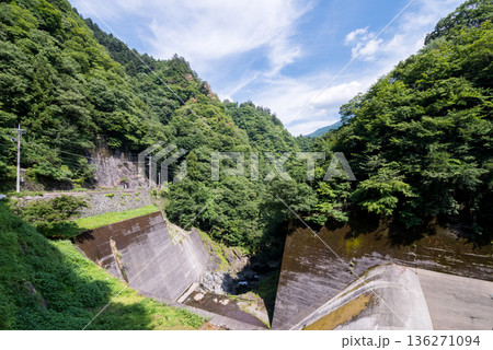【小河内ダム】夏のダムと国道 136271094