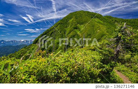 戸隠山からの登山道から見る高妻山山頂と北アルプス・後立山連峰 戸隠山からの登山道から見る高妻山山頂と北アルプス・後立山連峰 136271146