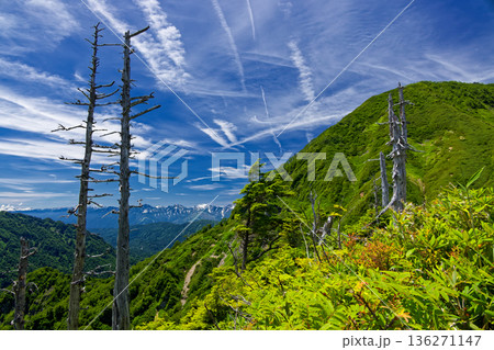 戸隠山からの登山道から見る高妻山山頂と北アルプス・後立山連峰 戸隠山からの登山道から見る高妻山山頂と北アルプス・後立山連峰 136271147