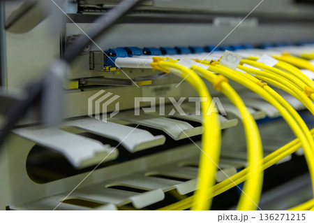 Network cables connected to switches. Network cables connected to switches. 136271215