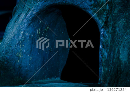 暗闇の入り口 136271224