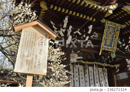 北野天満宮 三光門と白梅(京都市上京区) 北野天満宮 三光門と白梅(京都市上京区) 136271324