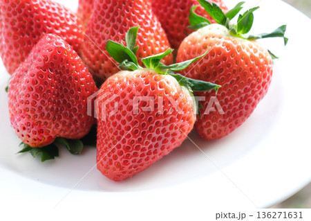 お皿に盛りつけられたイチゴ お皿に盛りつけられたイチゴ 136271631