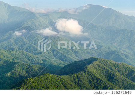Aerial View of Pristine Mountain Forest Landscape Showcasing Vast Green Canopy and Natural Aerial View of Pristine Mountain Forest Landscape Showcasing Vast Green Canopy and Natural 136271649