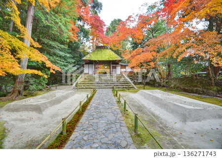 法然院の白砂壇と山門と紅葉 136271743