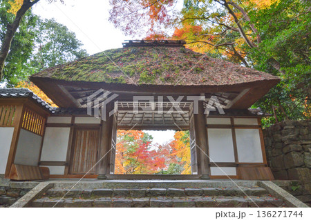 法然院の山門と紅葉 法然院の山門と紅葉 136271744