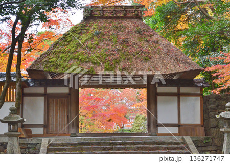 法然院の山門と紅葉 136271747