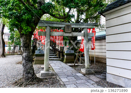 【東京】初春の西新井大師　境内の出世稲荷明神 136271890