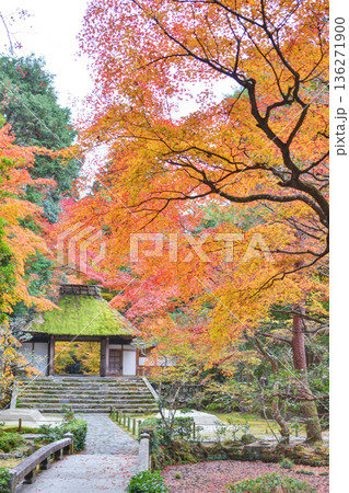 法然院の白砂壇と山門と紅葉 法然院の白砂壇と山門と紅葉 136271900
