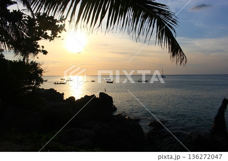 フリーダムビーチ　プーケット、タイ 136272047