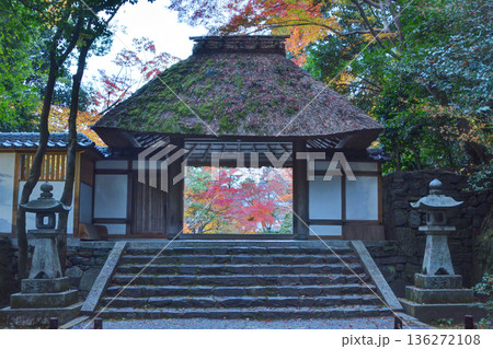 法然院の山門と紅葉 136272108
