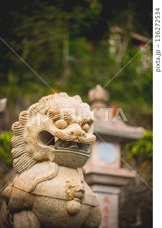 台湾 新北 新北市 136272534