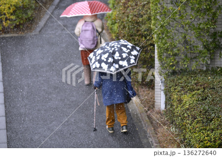 日本の横浜都市景観粉雪が舞う凍てつく寒さ…段差や起伏…高齢化社会　杖の高齢女性＝横浜市内 136272640