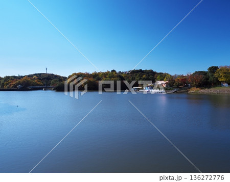 秋の名古屋市大高緑地公園 琵琶ヶ池 秋の名古屋市大高緑地公園 琵琶ヶ池 136272776