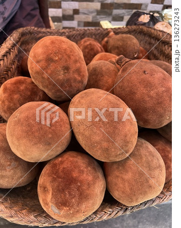 マダガスカル　バオバブの実 136273243