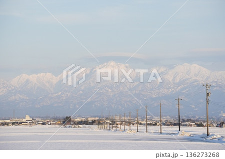 雪の立山連峰を望む 136273268