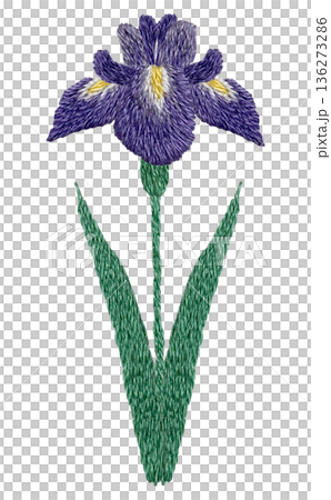 【菖蒲の花】手刺繍イラスト素材 136273286