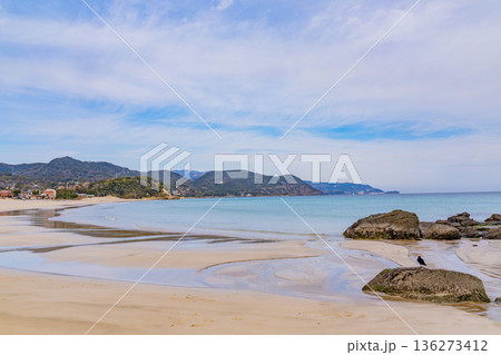(静岡県)伊豆・白浜海岸、ビーチ、冬 (静岡県)伊豆・白浜海岸、ビーチ、冬 136273412