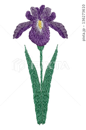 【菖蒲の花】手刺繍イラスト素材 136273610