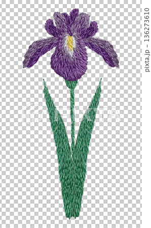 【菖蒲の花】手刺繍イラスト素材 136273610