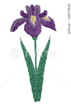 【菖蒲の花】手刺繍イラスト素材 136273616