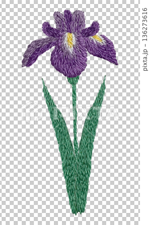 【菖蒲の花】手刺繍イラスト素材 136273616