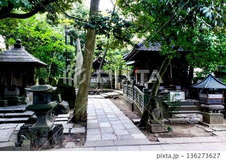 【東京】初春の西新井大師　大本堂裏の風情ある奥の院や如意輪堂 136273627