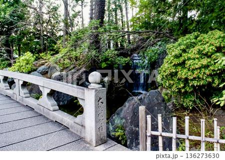 【東京】初春の西新井大師　弁天池にかかる石橋と滝 136273630