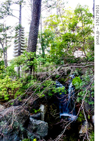 【東京】初春の西新井大師　弁天池に落ちる滝と十三重宝塔 136273631