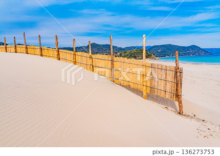 （静岡県）冬の伊豆・白浜海岸、ビーチ、砂防柵 136273753