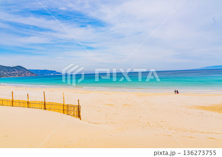 （静岡県）冬の伊豆・白浜海岸、ビーチ、砂防柵 136273755