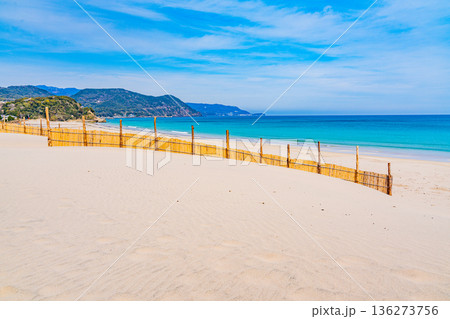 (静岡県)冬の伊豆・白浜海岸、ビーチ、砂防柵 (静岡県)冬の伊豆・白浜海岸、ビーチ、砂防柵 136273756