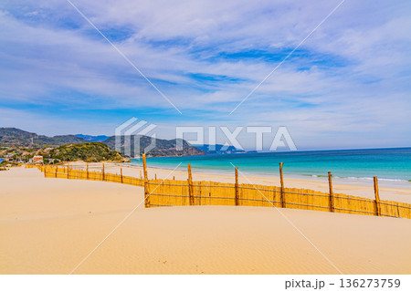 （静岡県）冬の伊豆・白浜海岸、ビーチ、砂防柵 136273759