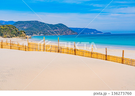 （静岡県）冬の伊豆・白浜海岸、ビーチ、砂防柵 136273760
