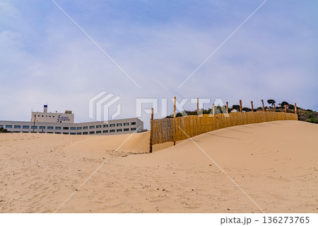 (静岡県)冬の伊豆・白浜海岸、ビーチ、砂防柵 (静岡県)冬の伊豆・白浜海岸、ビーチ、砂防柵 136273765