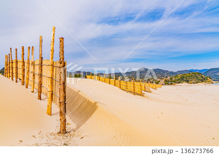 (静岡県)冬の伊豆・白浜海岸、ビーチ、砂防柵 (静岡県)冬の伊豆・白浜海岸、ビーチ、砂防柵 136273766