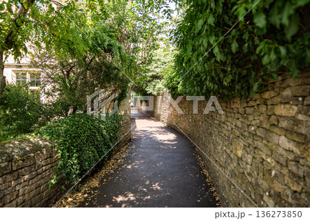 A narrow shaded garden pathway with stone walls and overhanging greenery. A narrow shaded garden pathway with stone walls and overhanging greenery. 136273850