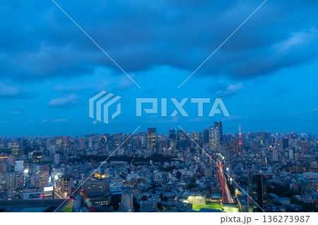 東京スカイツリー&東京タワーを望む夜景 東京スカイツリー&東京タワーを望む夜景 136273987